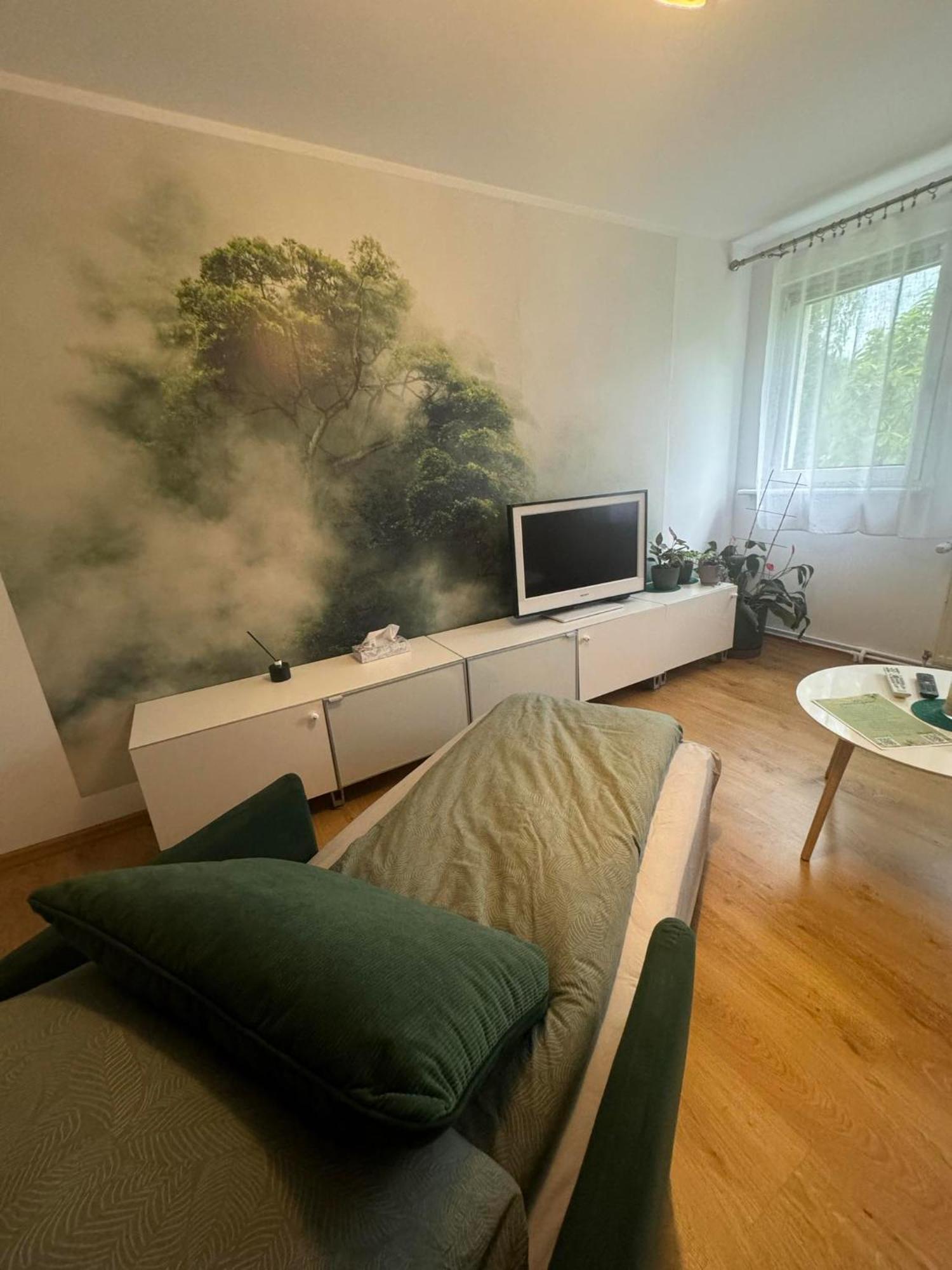 Zielony Zakatek Piechowice  Kamer foto