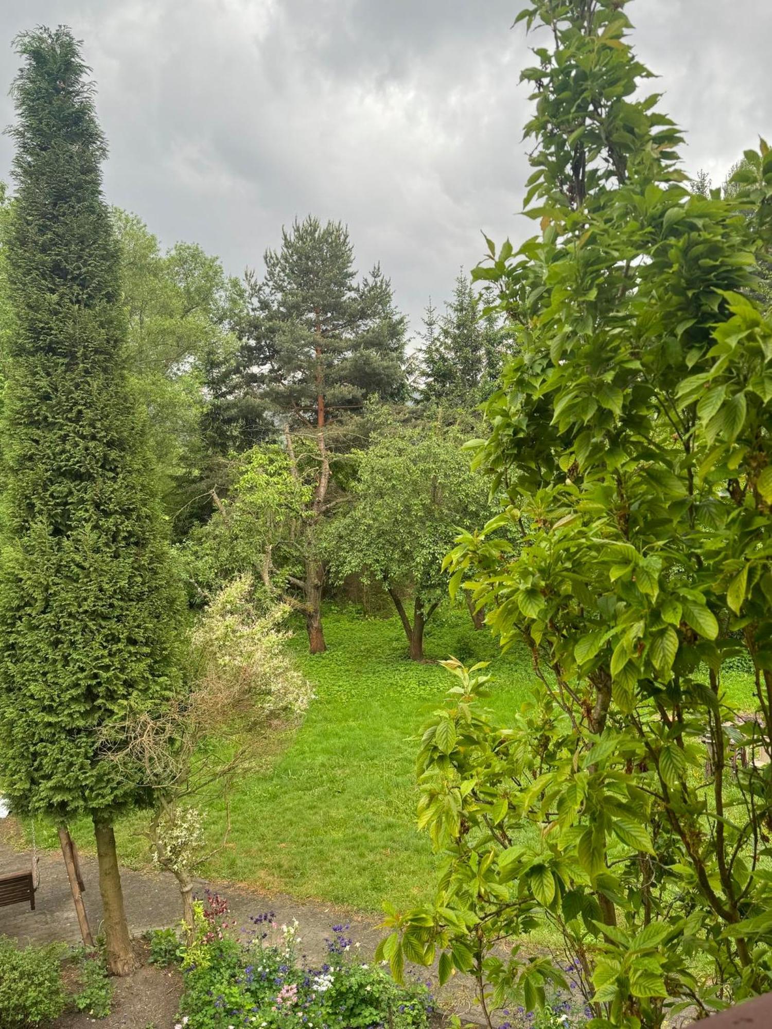 Zielony Zakatek Piechowice  Kamer foto