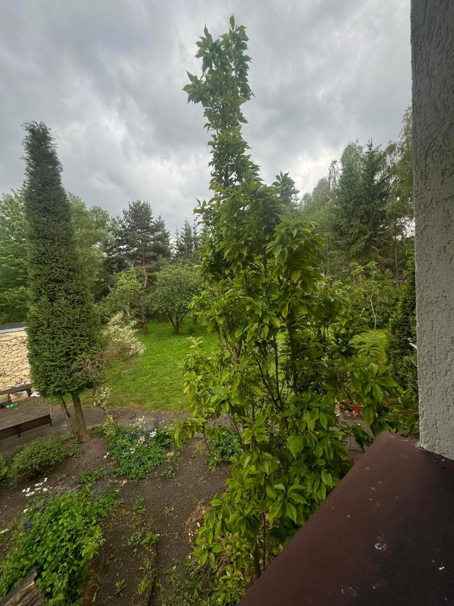 Zielony Zakatek Piechowice  Kamer foto